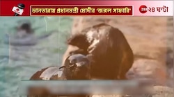 PM Modi | গুজরাতের ভানতারা কেন্দ্রে সিংহের শাবকদের সঙ্গে Modi | Zee 24 Ghanta