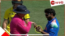 জাদেজা কেন বাধ্য হলেন হাতের টেপ খুলতে! কোন নিয়মে আটকেও ফের অনুমতি দিলেন আম্পায়ার?