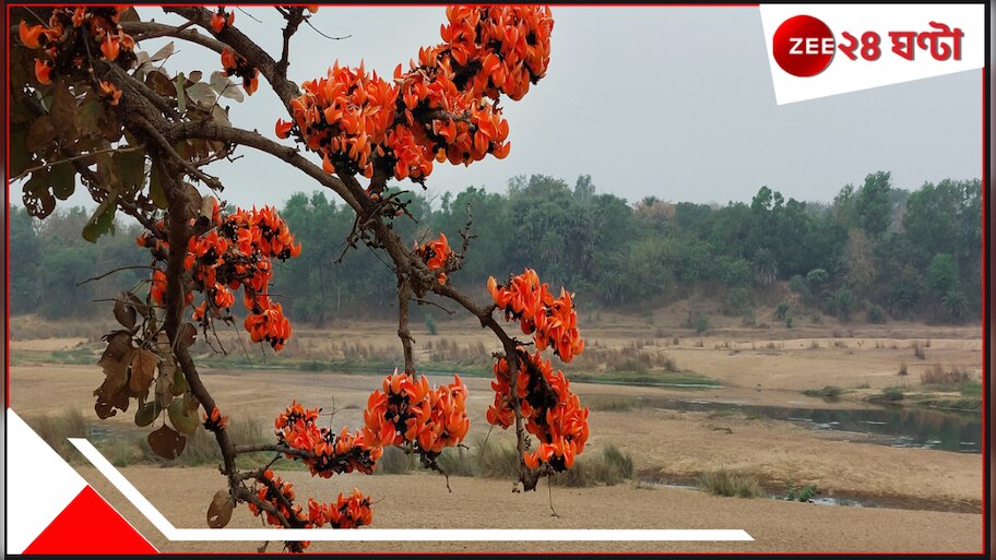 EXPLAINED | Why Heat Wave in Spring: কেন মধুর বসন্তেই ভয়ংকর দাবদাহের ...