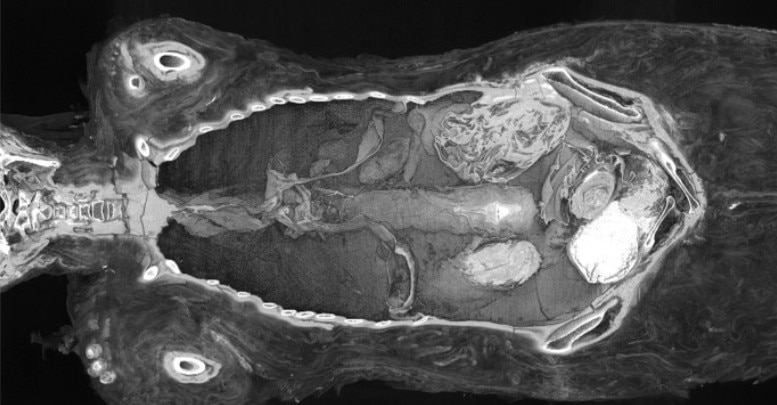 মিশরের মমি রহস্য! Egypt Mummy Mystery