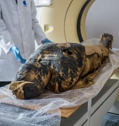 মিশরের মমি রহস্য! Egypt Mummy Mystery
