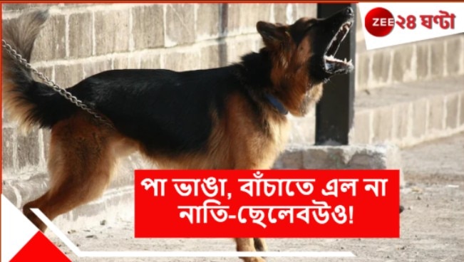 Pet German Shepherd Killed: ছেলের পোষ্য জার্মান শেফার্ড কামড়ে, ছিঁড়ে, খুবলে খেল বৃদ্ধা মাকে! নির্বাক দর্শক বউ-নাতি... Pet German Shepherd Killed: ছেলের পোষ্য জার্মান শেফার্ড কামড়ে, ছিঁড়ে, খুবলে খেল বৃদ্ধা মাকে! নির্বাক দর্শক বউ-নাতি...