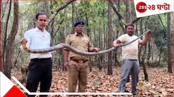 হুলুস্থুল কাণ্ড! জনবহুল এলাকায় উদ্ধার ১১ ফুটের বিষধর, তটস্থ এলাকাবাসী...