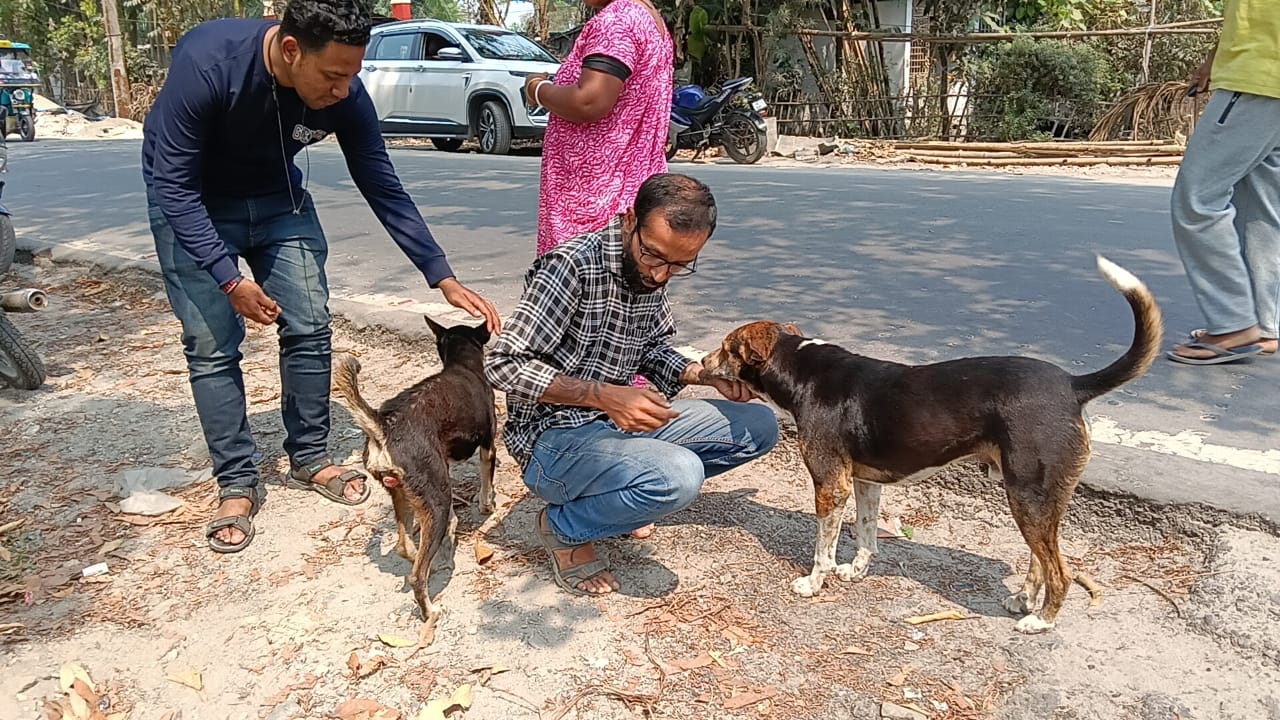 Street Dog Cancer Treatment