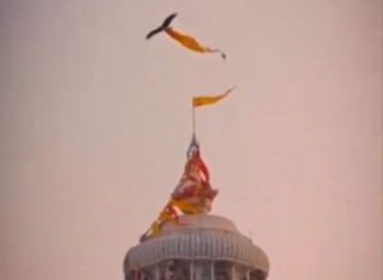 পুরী মন্দিরের পতাকা নিয়ে উড়ে যাচ্ছে ঈগল! Eagle flies away with Puri Temple flag