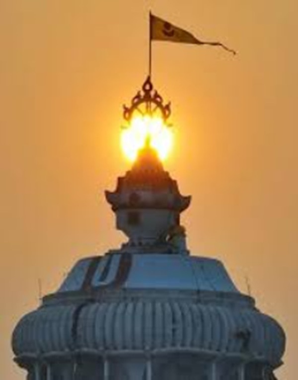 পুরী মন্দিরের পতাকা নিয়ে উড়ে যাচ্ছে ঈগল! Eagle flies away with Puri Temple flag