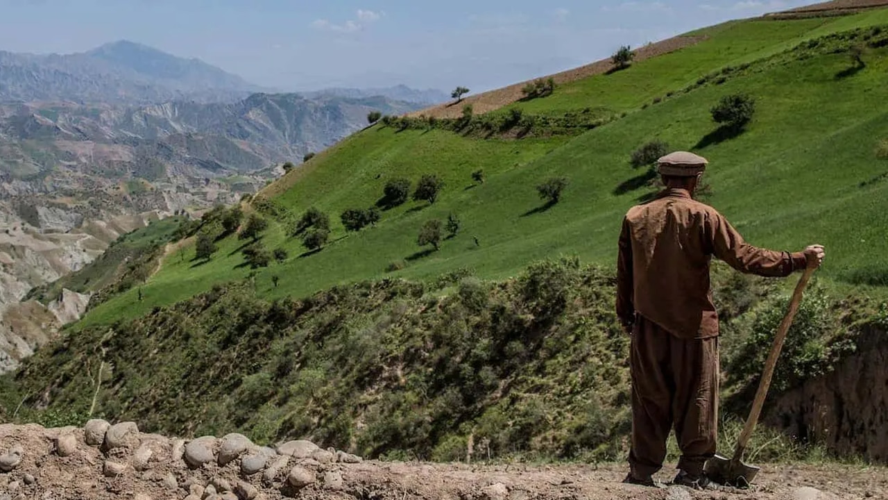 ভূমিকম্পপ্রবণ এলাকা