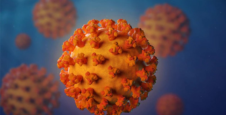 Japan Baba Vanga Prediction Return of Covid