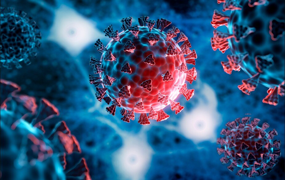 Japan Baba Vanga Prediction Return of Covid