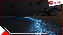 আইপিএলের মাঝে ভারত থেকে গায়েব পুরো ফ্র্যাঞ্চাইজি!