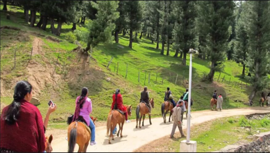 Pahalgam terror attack