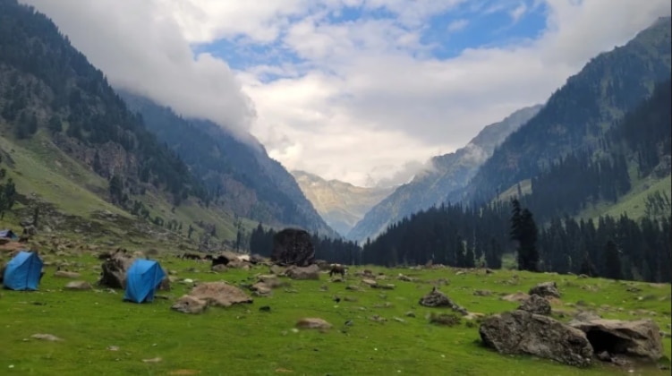 pahalgam terror attack