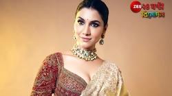 'বিনোদিনী'ই বদলে দিল জীবন! দাদাসাহেব ফালকে পাচ্ছেন রুক্মিনী...