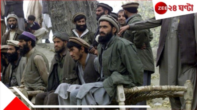 India Pakistan War: চাবুক খাচ্ছে পাকিস্তান, বুক ফাটছে লাদেনের আল-কায়দার! ভারতকে শিক্ষা দেব...