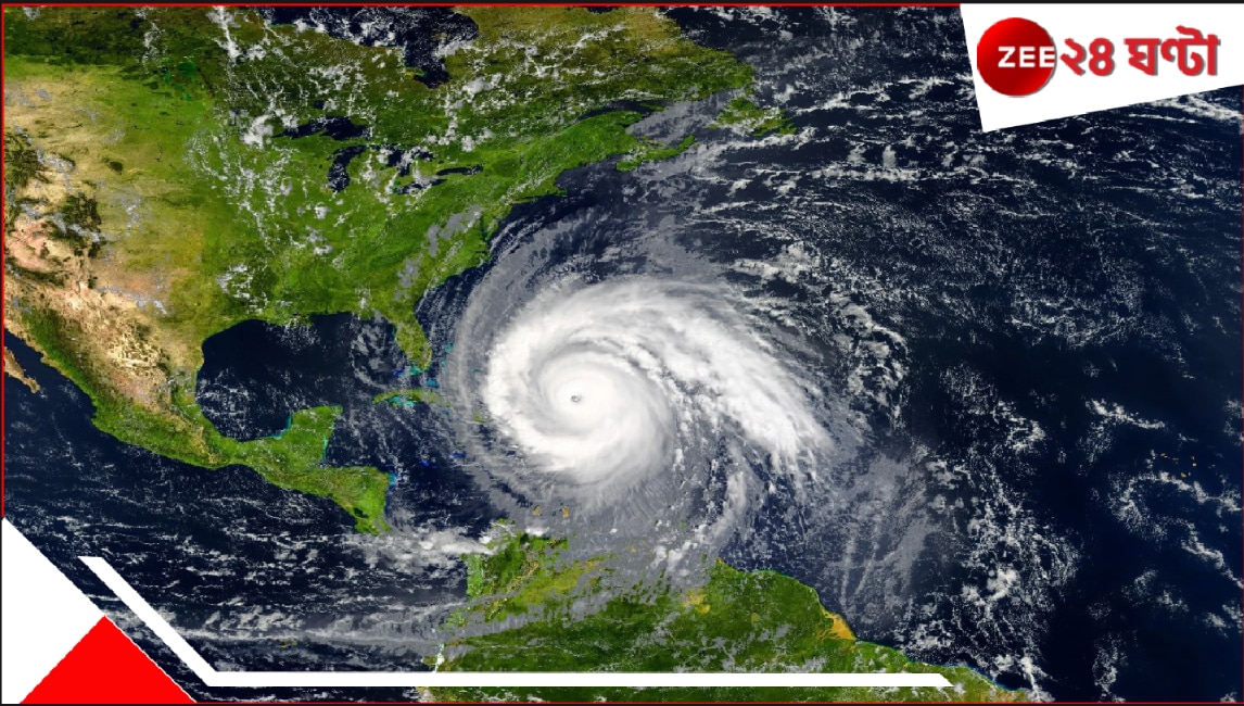 Multfilm jinsiy zoravonlik