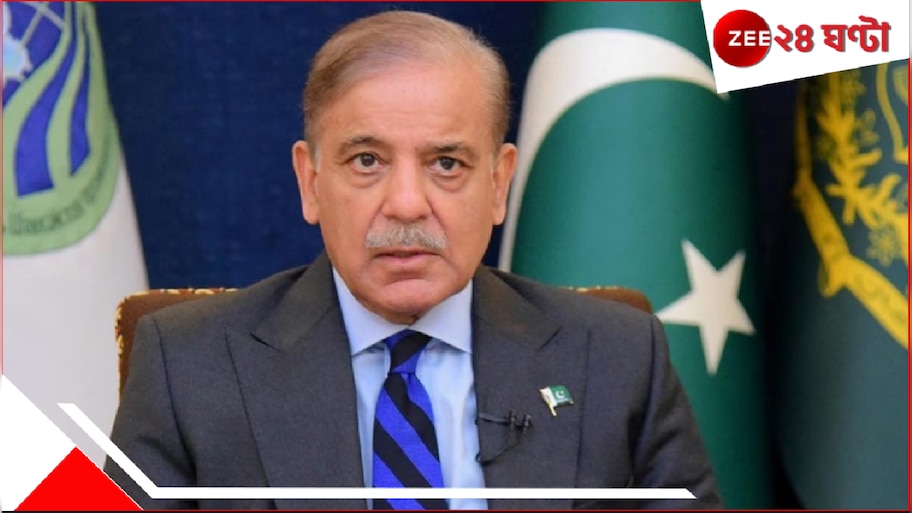 India Pakistan tension: 'রাত আড়াইটেয় মুনীরের ফোন...', নূর খানে ভারতের প্রত্যাঘাতের কথা স্বীকার শাহবাজের...