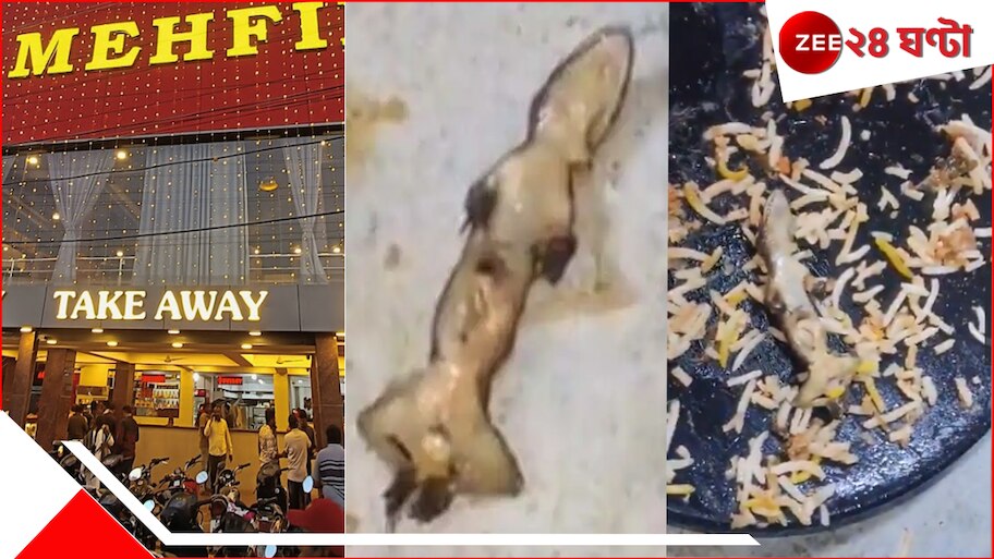WATCH Lizard Found In Biryani: 'ভালোই ভেজেছে...', বিরিয়ানিতে টিকটিকি! খেতে বললেন শহরের নামী রেস্তোঁরার ম্যানেজার