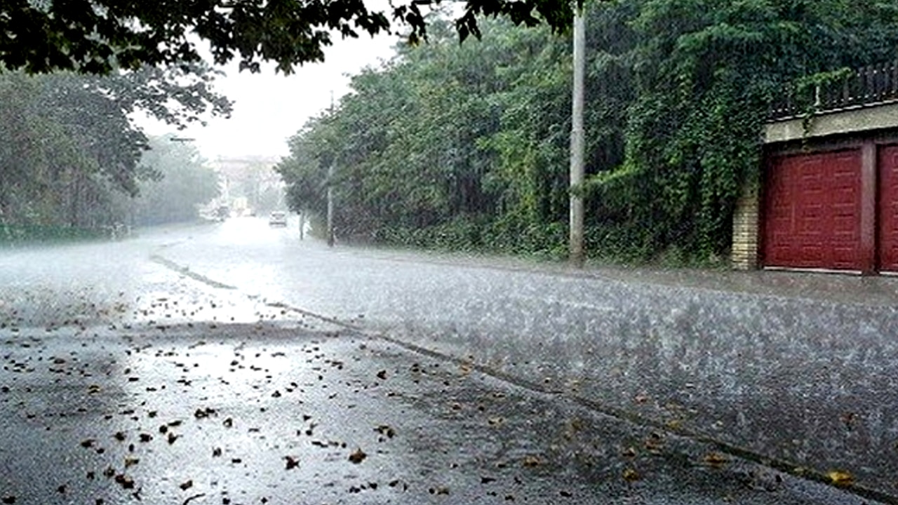 বৃষ্টির পূর্বাভাস বৃষ্টির পূর্বাভাস