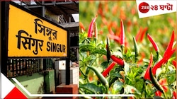 এগিয়ে বাংলা! সিঁদুরে লাল লঙ্কার জাপান-জয়! সিঙ্গুরের জমিতে ফলছে দেদার বিদেশি মুদ্রা..
