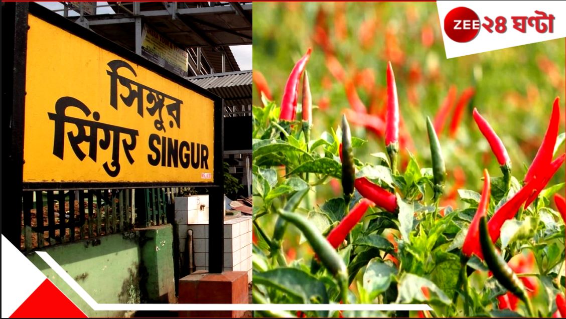 Singur's Green Chilli in Japan: এগিয়ে বাংলা! সিঁদুরে লাল লঙ্কার জাপান-জয়! সিঙ্গুরের জমিতে ফলছে দেদার বিদেশি মুদ্রা... Singur's Green Chilli in Japan: এগিয়ে বাংলা! সিঁদুরে লাল লঙ্কার জাপান-জয়! সিঙ্গুরের জমিতে ফলছে দেদার বিদেশি মুদ্রা...