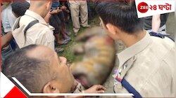 এটাও ভারত! জনতার হাতে খুন রয়্যাল বেঙ্গল টাইগার, চামড়া ছাড়িয়ে থাবা কেটে দাঁত খুলে..