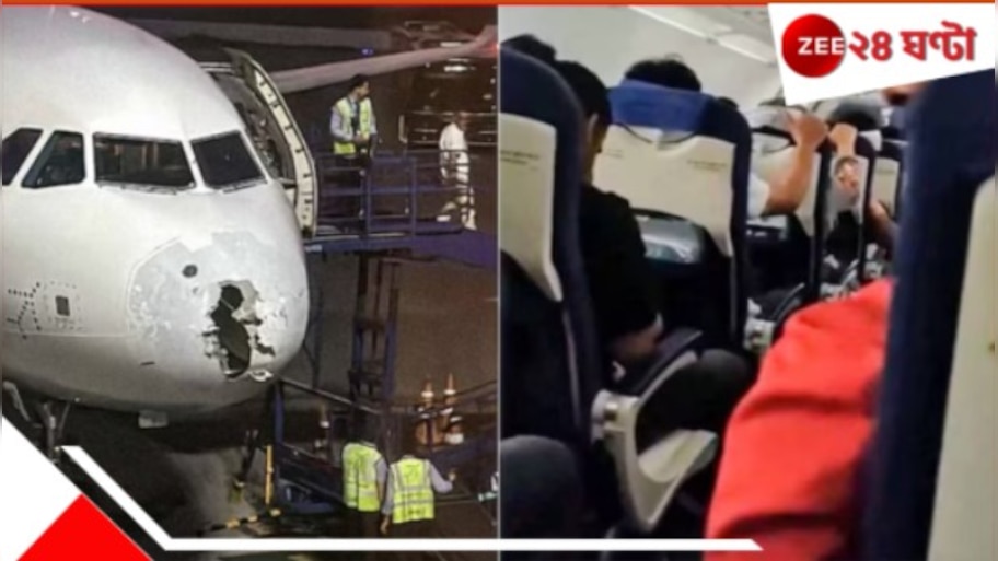 IndiGo Flight Turbulence: 'টার্বুলেন্স' পেরিয়ে যারা বাঁচাল, তারাই পেল শাস্তি! ২ ইন্ডিগো পাইলটকে বসিয়ে দিল DGCA...