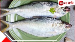 মাছ ধরার ‘ব্যান পিরিয়ড’! জামাইয়ের মুখে হাসি ফোটাতে 'বাসি' ইলিশই ভরসা...