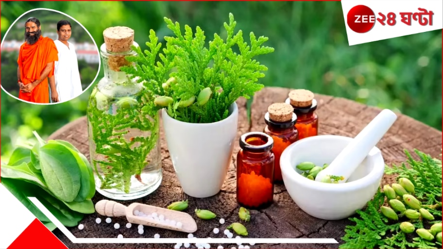 Patanjali’s Natural Therapies: রোগ কমাতে ওষুধ নয়, প্রকৃতি! পতঞ্জলিতে ভরসা রাখছে লাখো লাখো মানুষ...