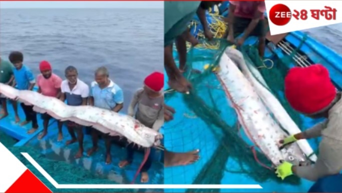 Doomsday Fish: WATCH | তামিলনাড়ুর সৈকতে বিরল 'ডুমসডে ফিশ'! কোভিডের সঙ্গেই আরও কোনও বিপর্যয় আসন্ন ভারতে? কীসের অশনিসংকেত...
