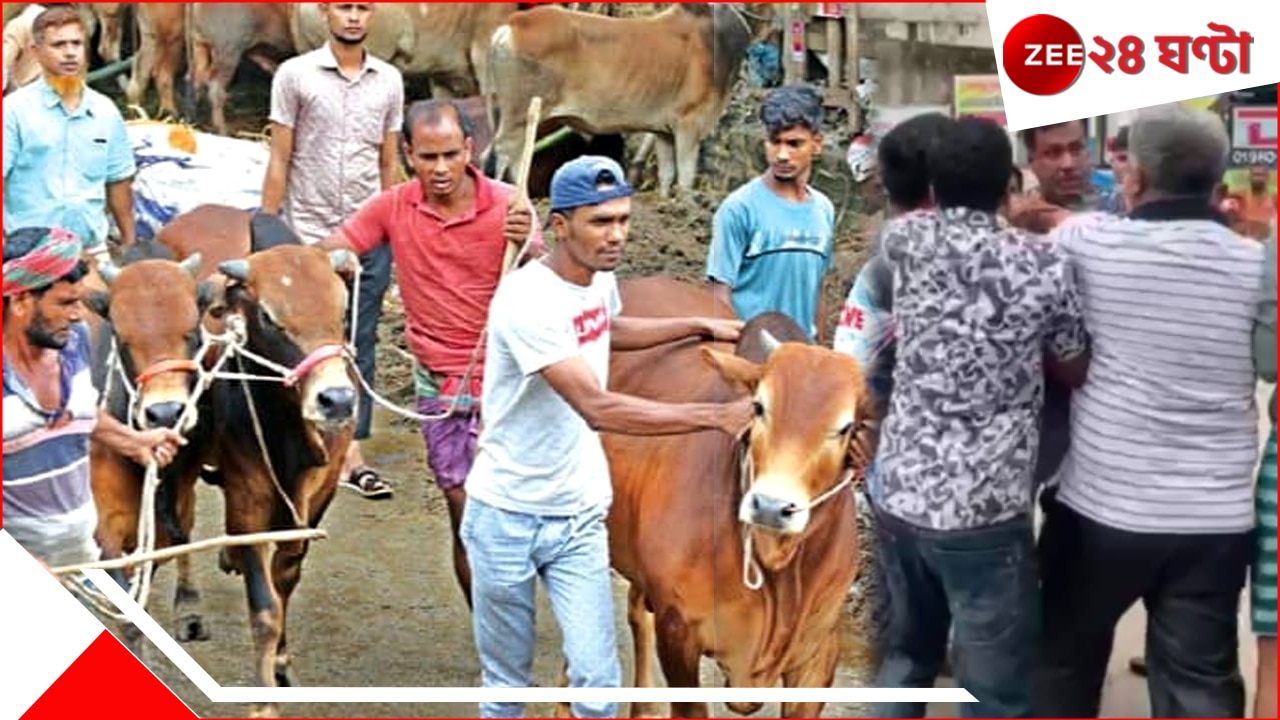 Bangladesh: অস্ত্র দেখিয়ে গোরু ছিনতাইয়ের চেষ্টা, কুরবানির পশু রক্ষা করতে হিমশিম ব্যবসায়ী