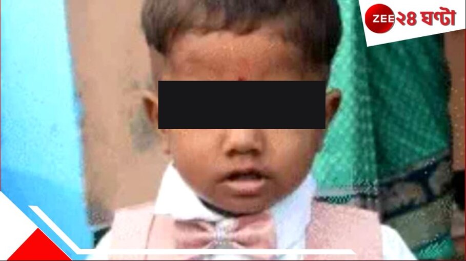 Uttar Pradesh: বাঁদর তাড়াতে বাবা ছুঁড়ল কুড়ুল! কাটা পড়ল একরত্তি সন্তানের গলা...