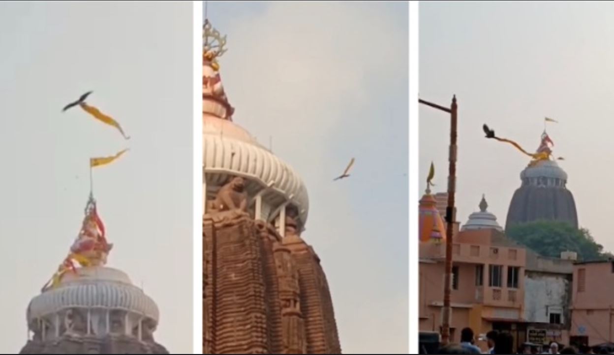 'পতিতপাবণ' পতাকা