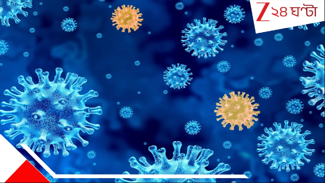 New Covid Variant Nimbus: গলায় কাচের টুকরো বিঁধছে? সর্দি, বমি-বমি ভাব? কোভিডের নতুন স্ট্রেনে আক্রান্ত হননি তো? ভয়ংকর… New Covid Variant Nimbus: গলায় কাচের টুকরো বিঁধছে? সর্দি, বমি-বমি ভাব? কোভিডের নতুন স্ট্রেনে আক্রান্ত হননি তো? ভয়ংকর…