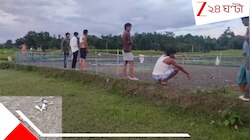 জমিতে পড়ে অসংখ্য মৃত ঘুঘু, এই মড়ক কি অশুভ কিছুর ইঙ্গিত? আতঙ্ক এলাকায় 
