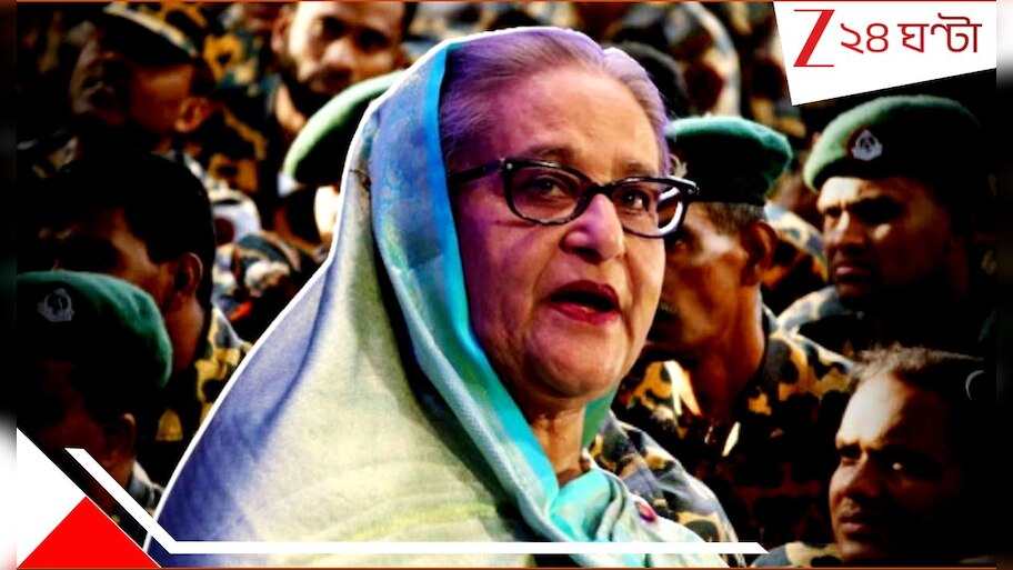 Sheikh Hasina: 'অবৈধ নাগরিকদের নয়, শেখ হাসিনাকে বাংলাদেশে ঢোকান...'