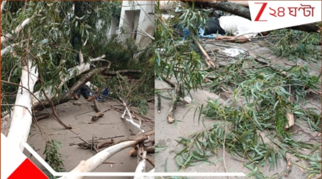 Howrah Municipality: পুরসভার ভিতর বড় অঘটন! বেঘোরে প্রাণ গেল ২ জনের… অত্যন্ত মর্মান্তিক…