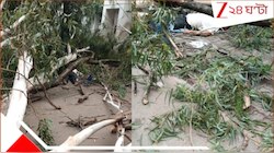 পুরসভার ভিতর বড় অঘটন! বেঘোরে প্রাণ গেল ২ জনের... অত্যন্ত মর্মান্তিক...