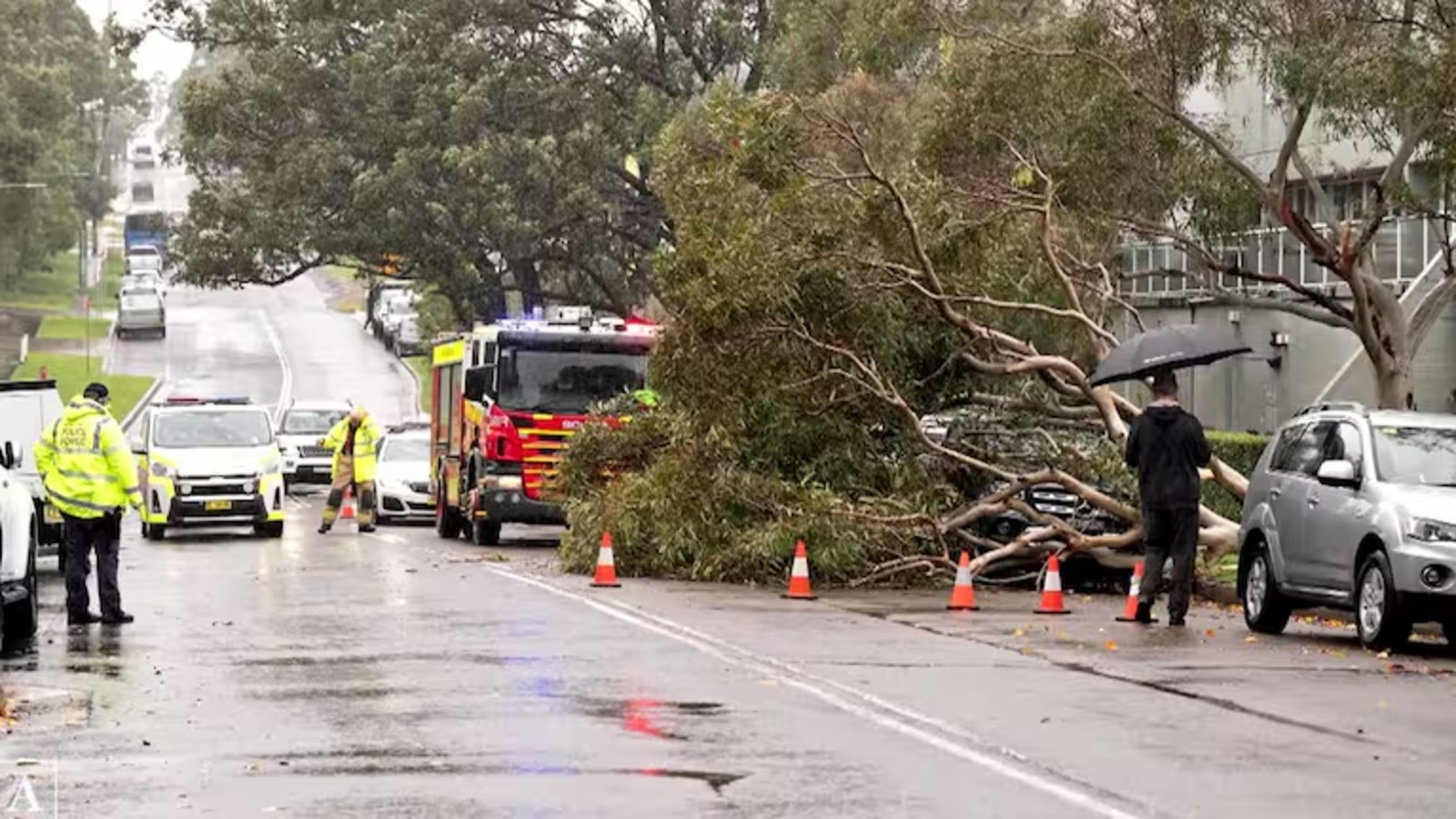 NSW bomb cyclone 