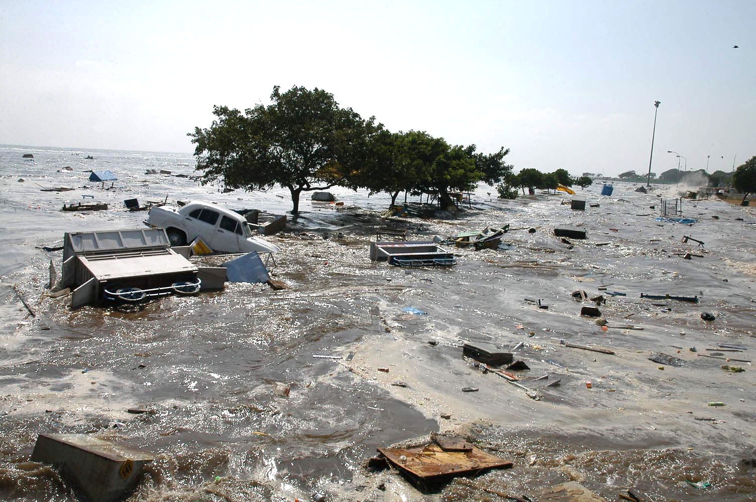 New Baba Vanga's Doomsday Prediction | The biggest and deadliest disaster of history