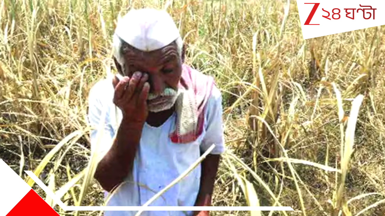 Maharashtra Farmers Death: ডবল ইঞ্জিন সরকার ফেল? বছরের প্রথম ৩ মাসেই মহারাষ্ট্রে আ*ত্ম*ঘা*তী ৭৬৭ কৃষক Maharashtra Farmers Death: ডবল ইঞ্জিন সরকার ফেল? বছরের প্রথম ৩ মাসেই মহারাষ্ট্রে আ*ত্ম*ঘা*তী ৭৬৭ কৃষক