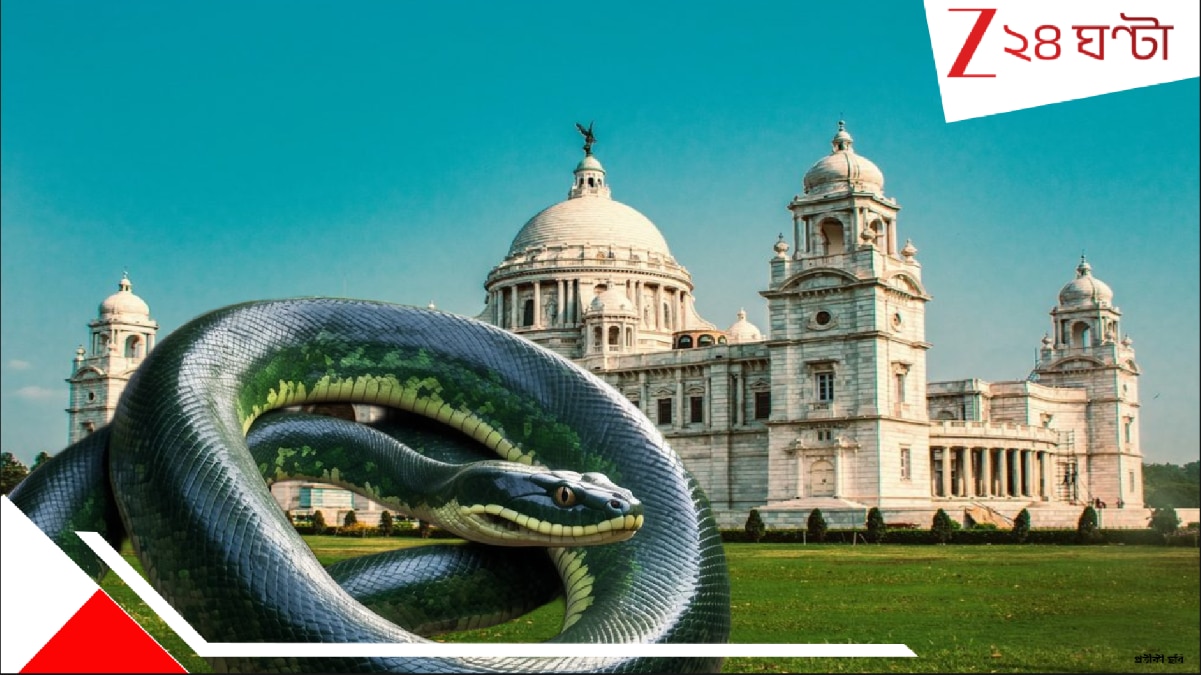 Anaconda in Kolkata Green Anaconda in Kolkata Alipore Zoological Garden ...