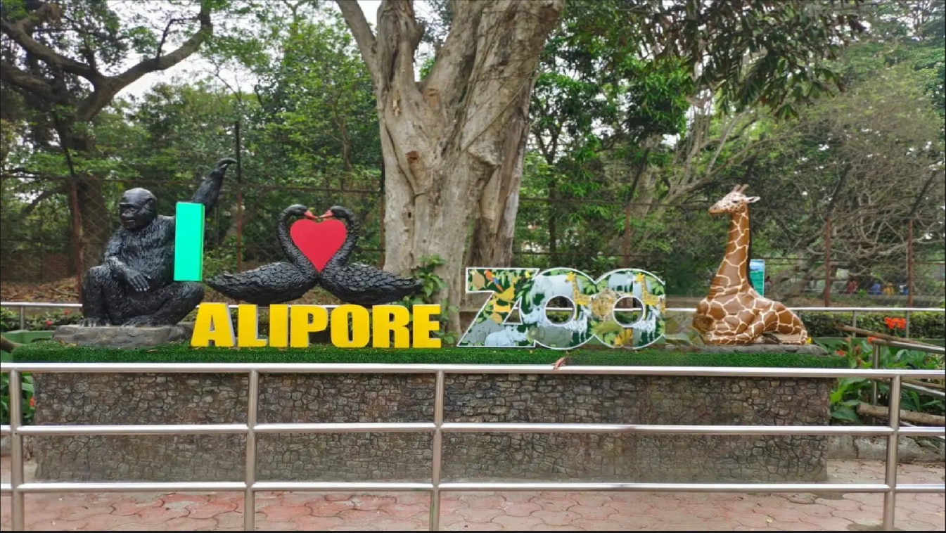 মাদ্রাজ ক্রোকোডাইল ব্যাংক