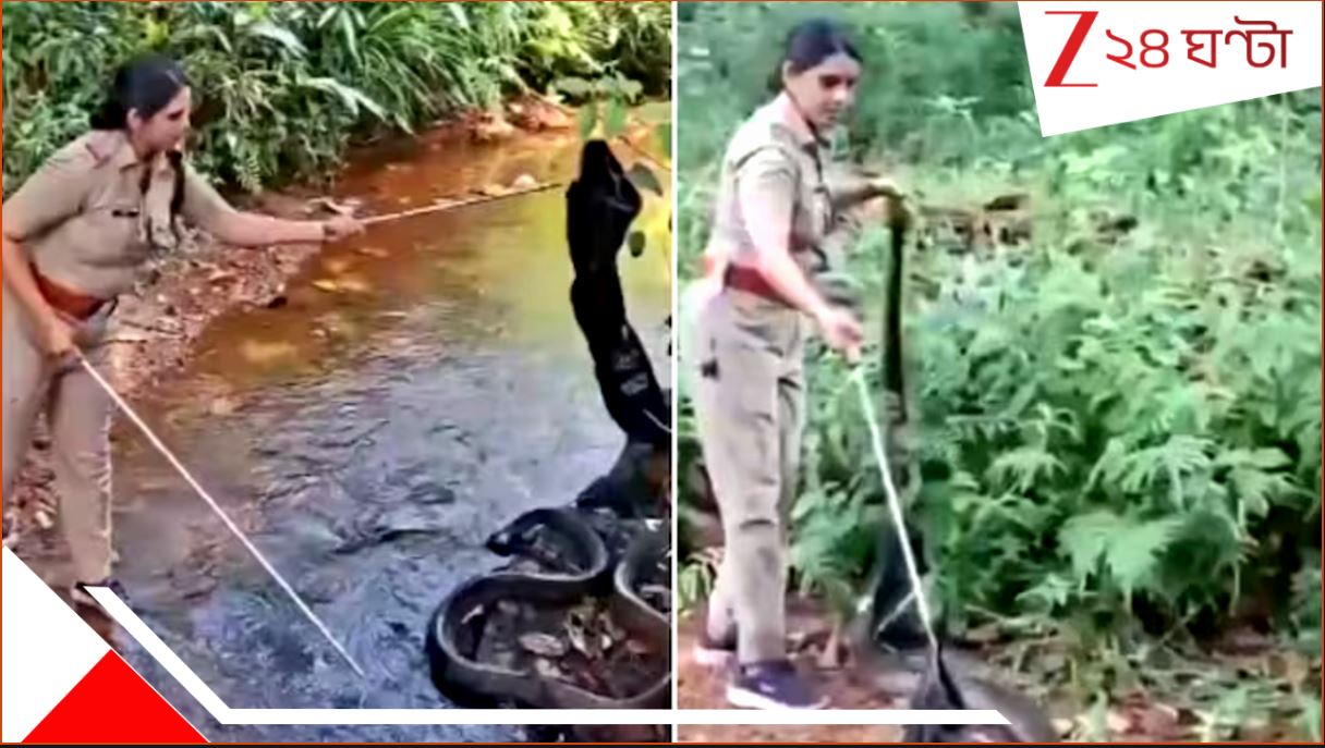 King Cobra Rescue: WATCH VIDEO: ১৬ ফুটের ভীষণ কিং কোবরাকে খালি হাতে কাবু করলেন সাহসিকা অফিসার রোশনি! রোমহর্ষক ভিডিয়ো... King Cobra Rescue: WATCH VIDEO: ১৬ ফুটের ভীষণ কিং কোবরাকে খালি হাতে কাবু করলেন সাহসিকা অফিসার রোশনি! রোমহর্ষক ভিডিয়ো...