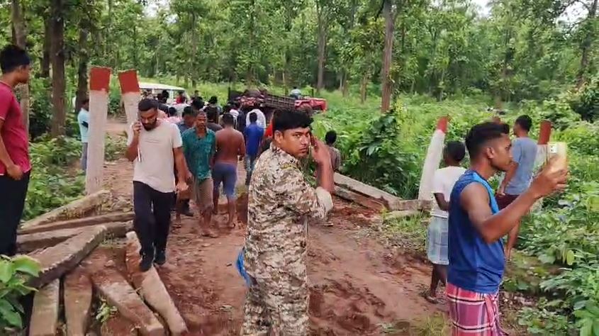 তিন হাতির মর্মান্তিক মৃত্যু