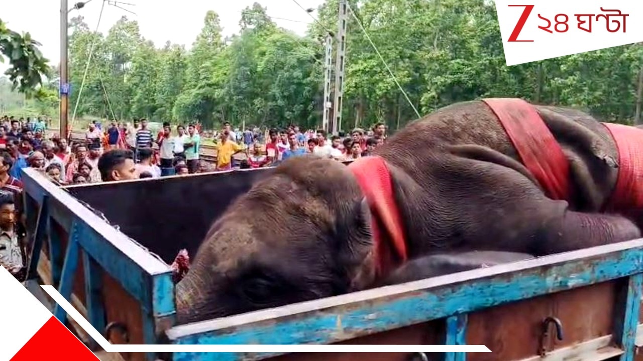 দুর্ঘটনা না হ*ত্যা? লাইনে তিন হাতির অপমৃ*ত্যু, রেলের উচ্চ পর্যায়ের তদন্ত কমিটি…| Death of three elephants on railway tracks high level railway investigation committee formed