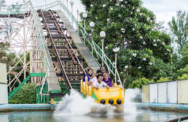 Nicco park Death