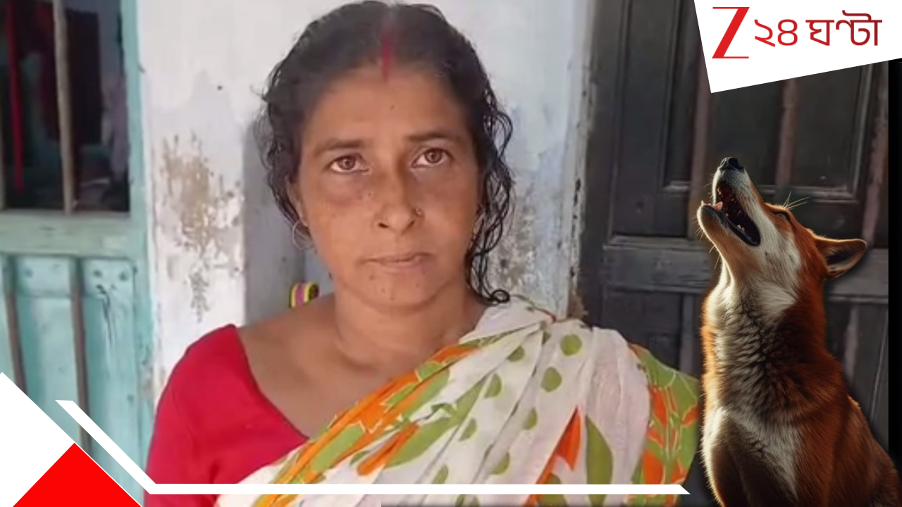Fox in Bardhaman: দিনে রাতে শহরে ঘুরে বেড়াচ্ছে শেয়াল, সামনে যাকে পাচ্ছে তাকেই কামড়াচ্ছে, লাঠি হাতে না বেরলেই... Fox in Bardhaman: দিনে রাতে শহরে ঘুরে বেড়াচ্ছে শেয়াল, সামনে যাকে পাচ্ছে তাকেই কামড়াচ্ছে, লাঠি হাতে না বেরলেই...