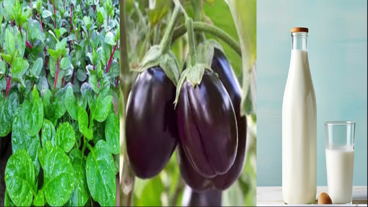 শাক বেগুন ও দুধ
