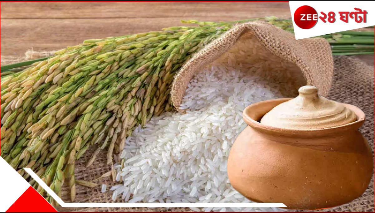 Rice Grain Scam: এবার বাঙালির ভাতের হাঁড়িতেও কোপ! হুবহু আসলের মতো দেখতে নকল চাল বাজারে! মুখে তোলার আগে সাবধান... Rice Grain Scam: এবার বাঙালির ভাতের হাঁড়িতেও কোপ! হুবহু আসলের মতো দেখতে নকল চাল বাজারে! মুখে তোলার আগে সাবধান...