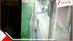গা শিউড়ে উঠবে! প্রসবের পর মা বালতি করে জঞ্জালে ফেলল সন্তানকে, কয়েকটা কুকুর খুবলে...